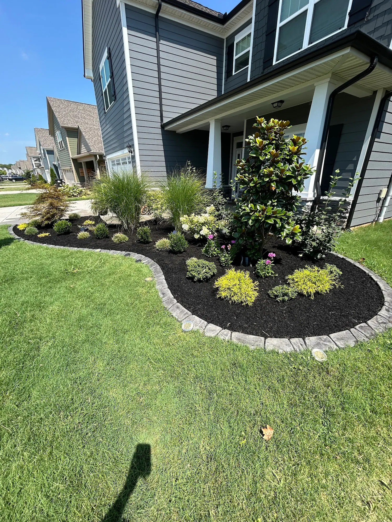 Curved stone-edged mulch bed with shrubs and a magnolia beside a lawn