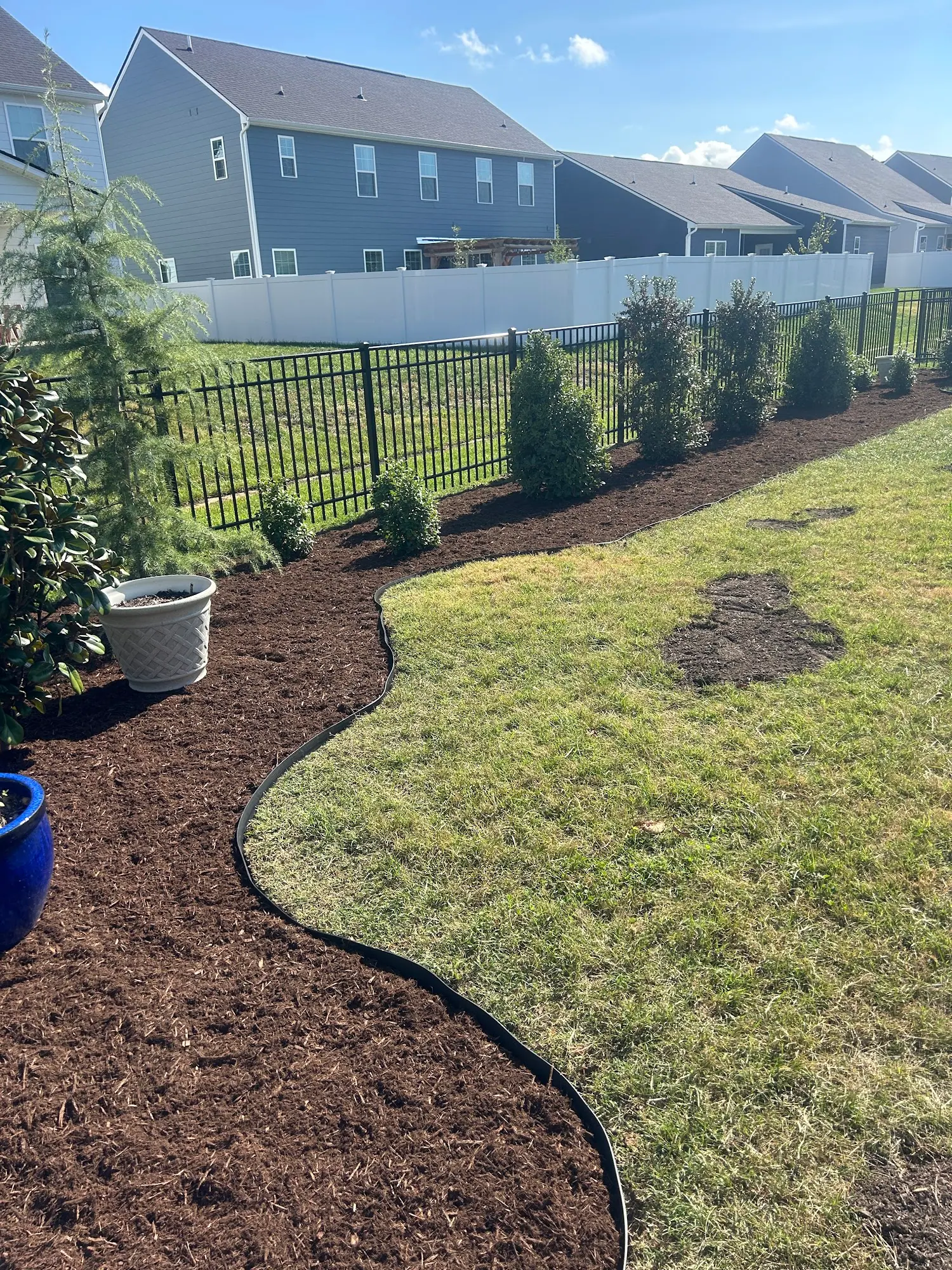 Curved mulch bed edged along a lawn and black fence